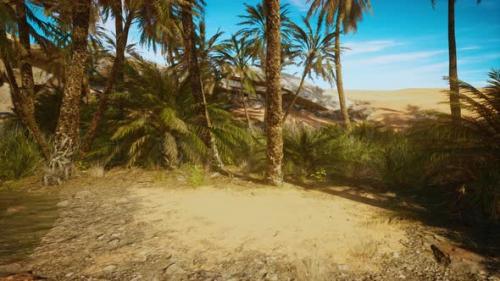 Videohive - Desert Oasis Among the Dunes - 48368459 - 48368459