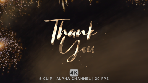 Videohive - Thank You Text Animation - 48368461 - 48368461