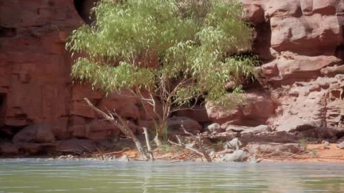 Videohive - Beautiful Day on the River with Sandstone Cliffs and Reflections - 48368773 - 48368773