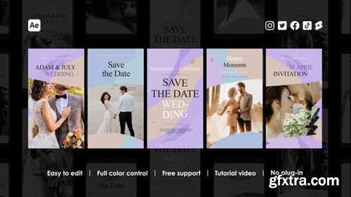 Videohive Wedding Instagram Reels 48694967