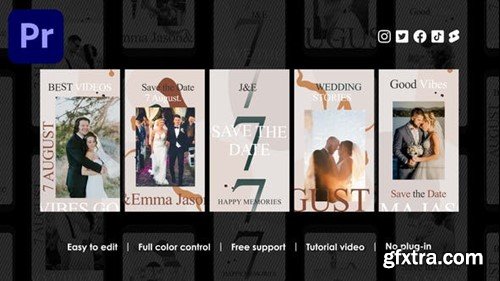 Videohive Vintage Wedding Instagram Reels 48695013