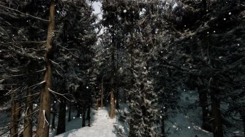 Videohive - A Winter Wonderland in a Dense Forest - 48387006 - 48387006