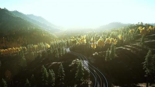 Videohive - A Serene Forest Road at Sunset - 48387790 - 48387790