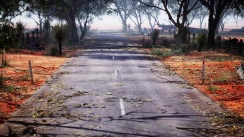 Videohive - A Peaceful Rural Road Enveloped By a Lush Forest Scenery - 48387800 - 48387800