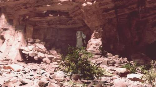 Videohive - A Natural Cave with Beautiful Rock Formations and Lush Plant Life - 48387829 - 48387829