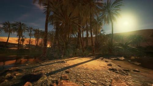 Videohive - A Digitallyrendered Desert Landscape with Palm Trees - 48387877 - 48387877