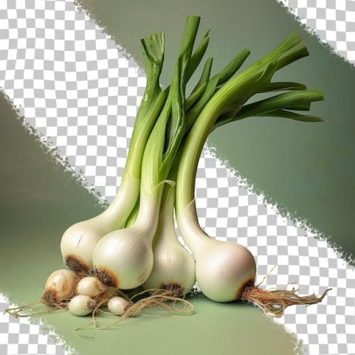 Premium PSD | A picture of onions and a picture of a garlic. Premium PSD