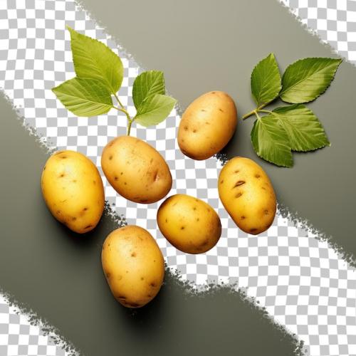 Premium PSD | Potatoes with green leaves isolated on transparent background Premium PSD