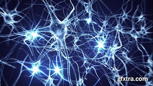 Videohive Neurons Logo (2-pack) 11808844