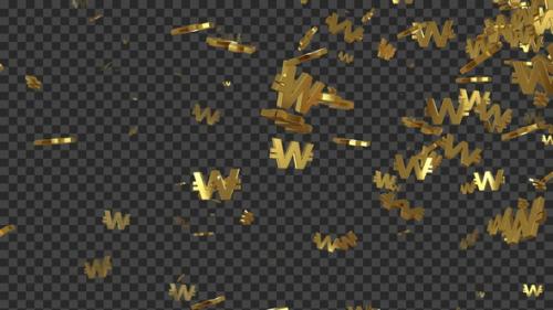 Videohive - Falling Won Currency Golden Loop V3 - 48303108 - 48303108