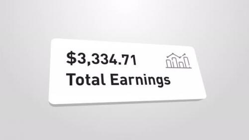 Videohive - Total Earnings Counter Counting Increase Earn Money Animation Alpha - 48303173 - 48303173