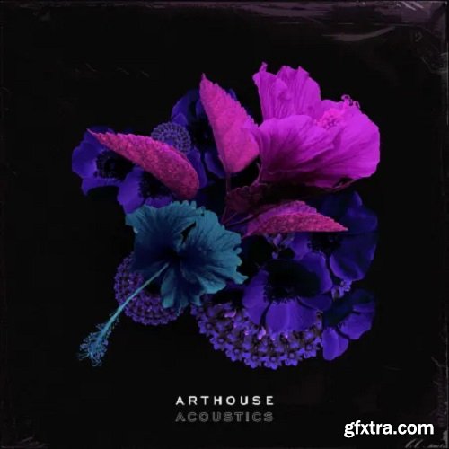 Arthouse Acoustics GloFi: RnB and Hip Hop