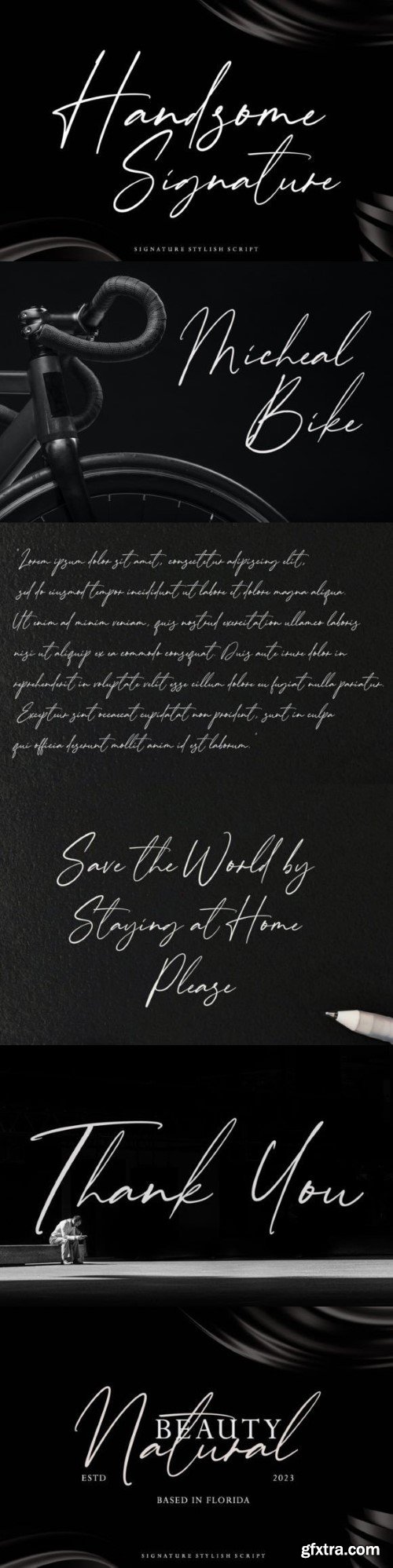 Handsome Signature Font