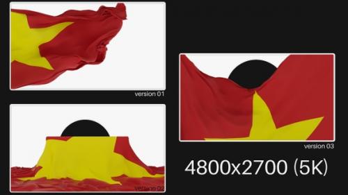 Videohive - Pack Of Vietnam Flag On Alpha - 48311094 - 48311094