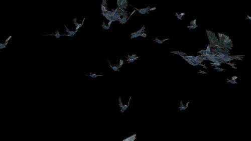 Videohive - 22 Crow Bird Bat Flying HD - 48320665 - 48320665