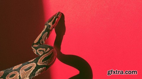 Udemy - Professional Diploma in Python Development