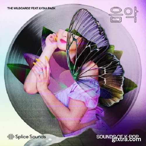 Splice Sounds Wildcardz Feat. Lydia Paek Sounds of K-Pop