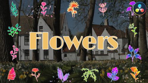 Videohive - Flowers Pack for DaVinci Resolve - 48634910 - 48634910