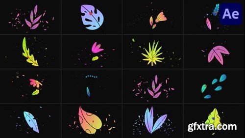 Videohive Flowers Pack for After Effects 48823263