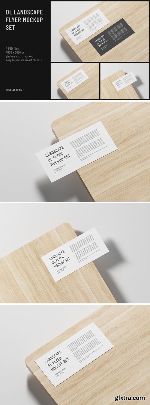 DL Landscape Flyer Mockup Set KETZKPQ