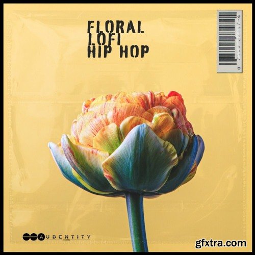 Audentity Records Floral Lofi Hip Hop