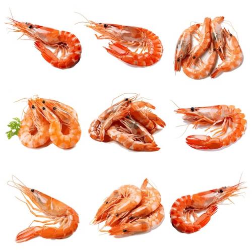 Premium Vector | Cooked shrimp's vector set Premium PSD