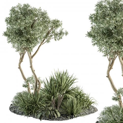 Needle tree and Bush - Outdoor Garden Set 305