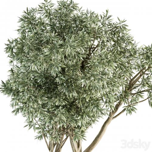 Needle tree and Bush - Outdoor Garden Set 305