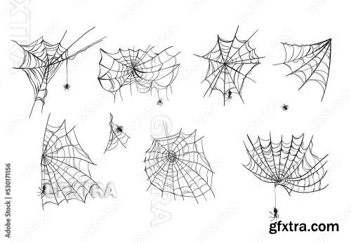 Spider Web Illustrations 530171156