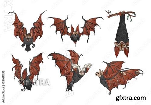 Vampire Bat Illustrations 530171152