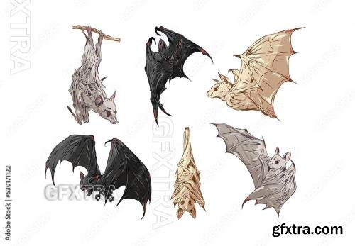 Vampire Bat Illustrations with Scary Horror Style 530171122