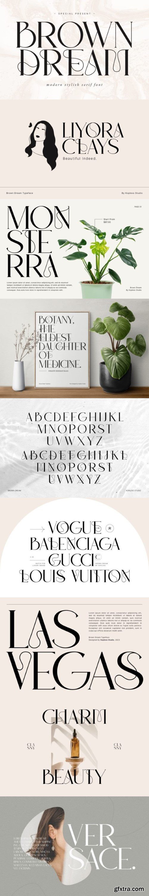 Brown Dream – Modern Stylish Serif Font