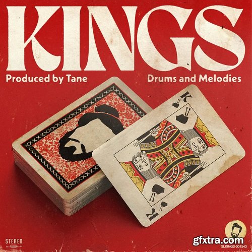 Tane Kings Drums and Melodies