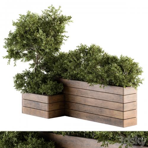 Outdoor Plants tree in Wood Box - Set 154