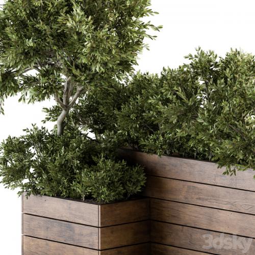 Outdoor Plants tree in Wood Box - Set 154