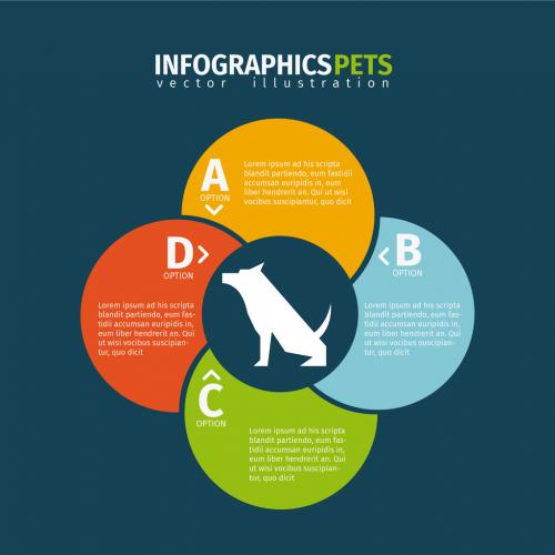 Circle Element Dog Silhouette Illustration Pet Care Infographic - 125155418