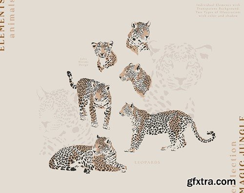 Leopards Illustrations Portrait Vector Set X5RHG8Y