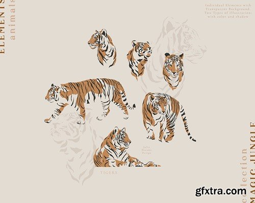 Tigers Illustrations Portrait Vector Set HJ86FPE