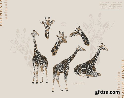 Giraffes Illustrations Portrait Vector Set ATP32EB
