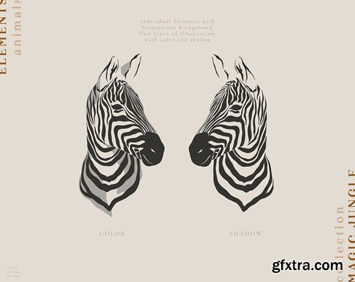Zebras Illustrations Portrait Vector Set 7DQTGUK
