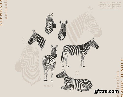 Zebras Illustrations Portrait Vector Set 7DQTGUK