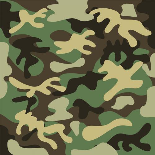 Standard Green Military Camouflage Pattern - 125535246