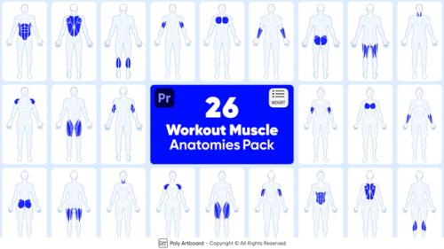 Videohive - Workout Muscle Anatomies Pack For Premiere Pro - 48592915 - 48592915