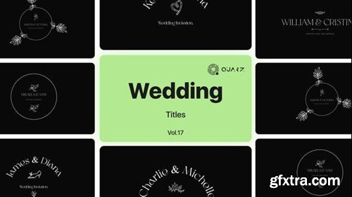 Videohive Wedding Titles Vol. 17 48928989