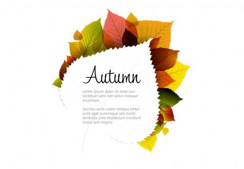 Autumn Leaves Card Layout 2 - 153230678