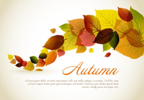 Autumn Leaves Card Layout 3 - 153231883