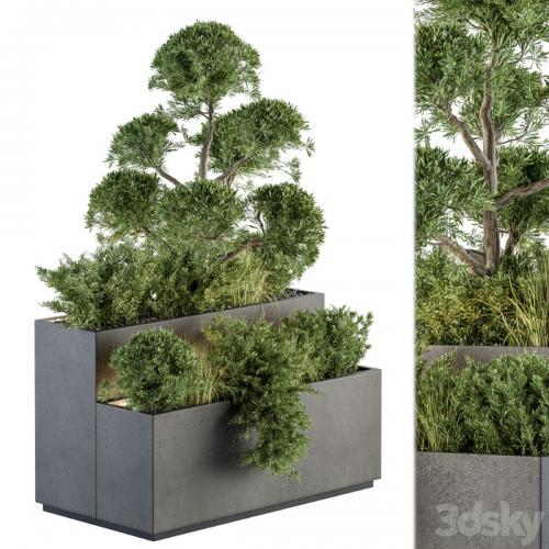 Outdoor Plant Set 214 - Plant Box