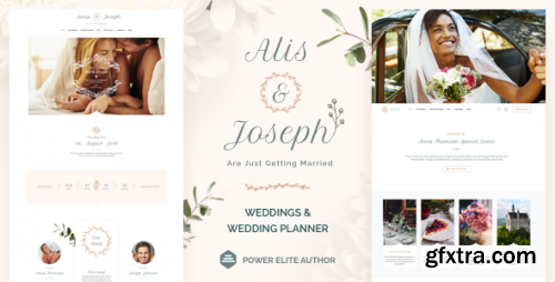 Themeforest - Alis - Wedding Planner WordPress Theme 21770478 v14.1 - Nulled