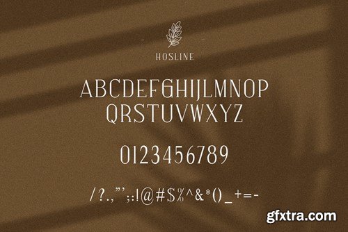 Hosline Modern Serif Font Typeface KBK67SJ