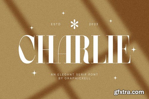 Charlie Elegant Serif Font Typeface TU6F6EC